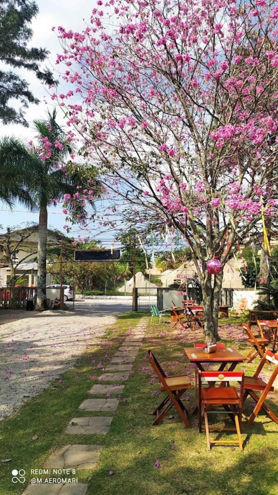 Nomades Vibe Da Ilha - Adventure Hostels & Coworking Florianópolis Kültér fotó